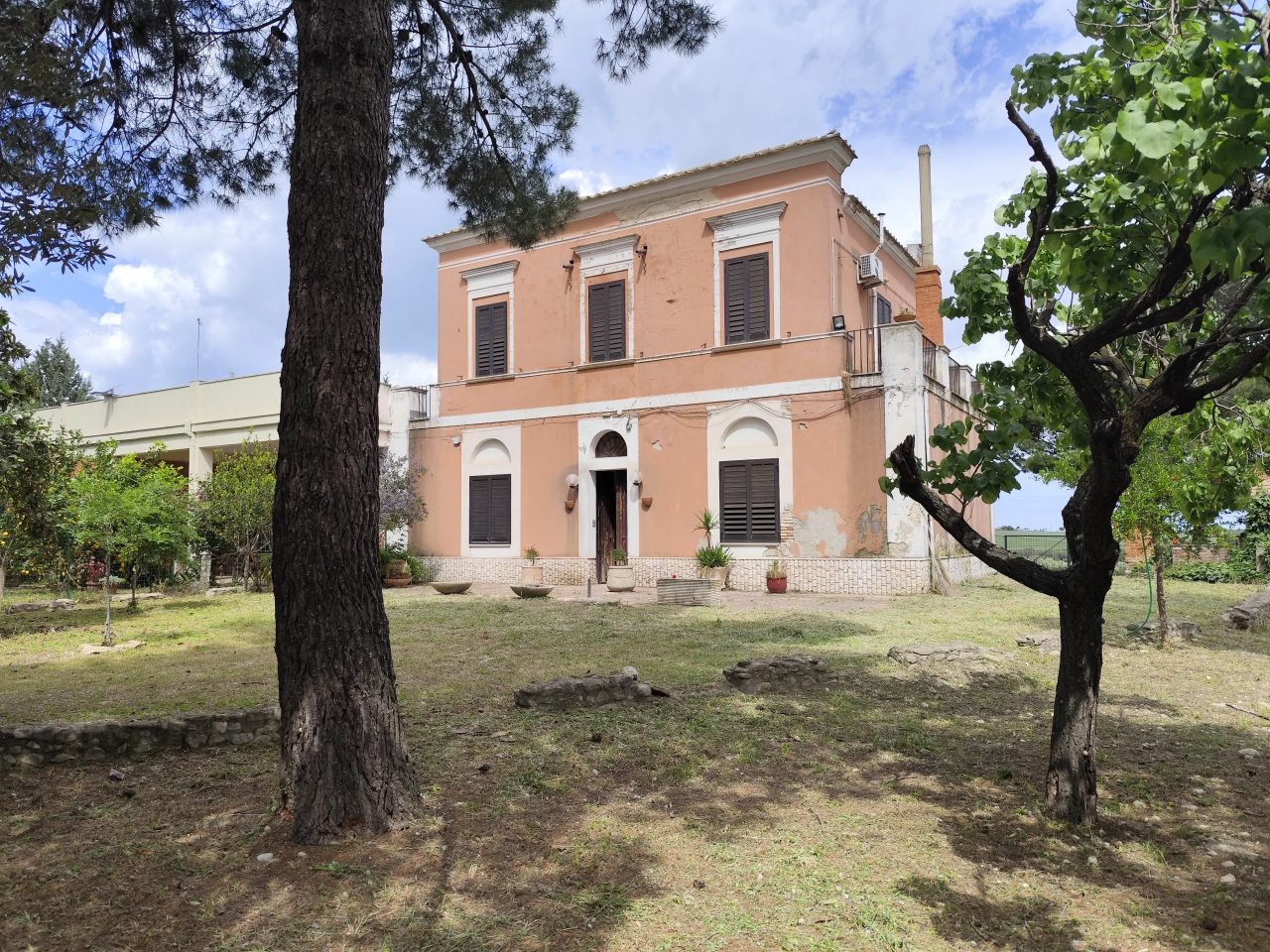 Soluzione con treeno a Lucera